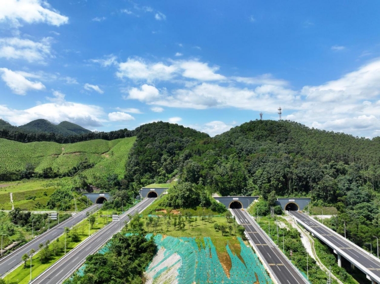 桂柳4標(biāo).jpg